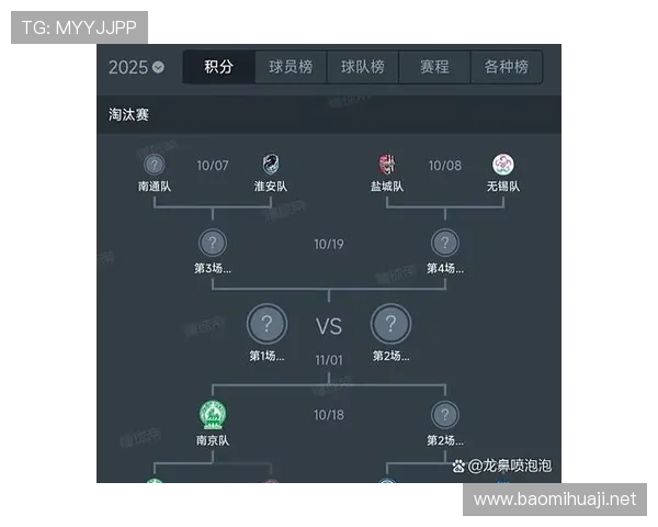 球队积分变动分析，球迷期待最后时刻逆袭表现。